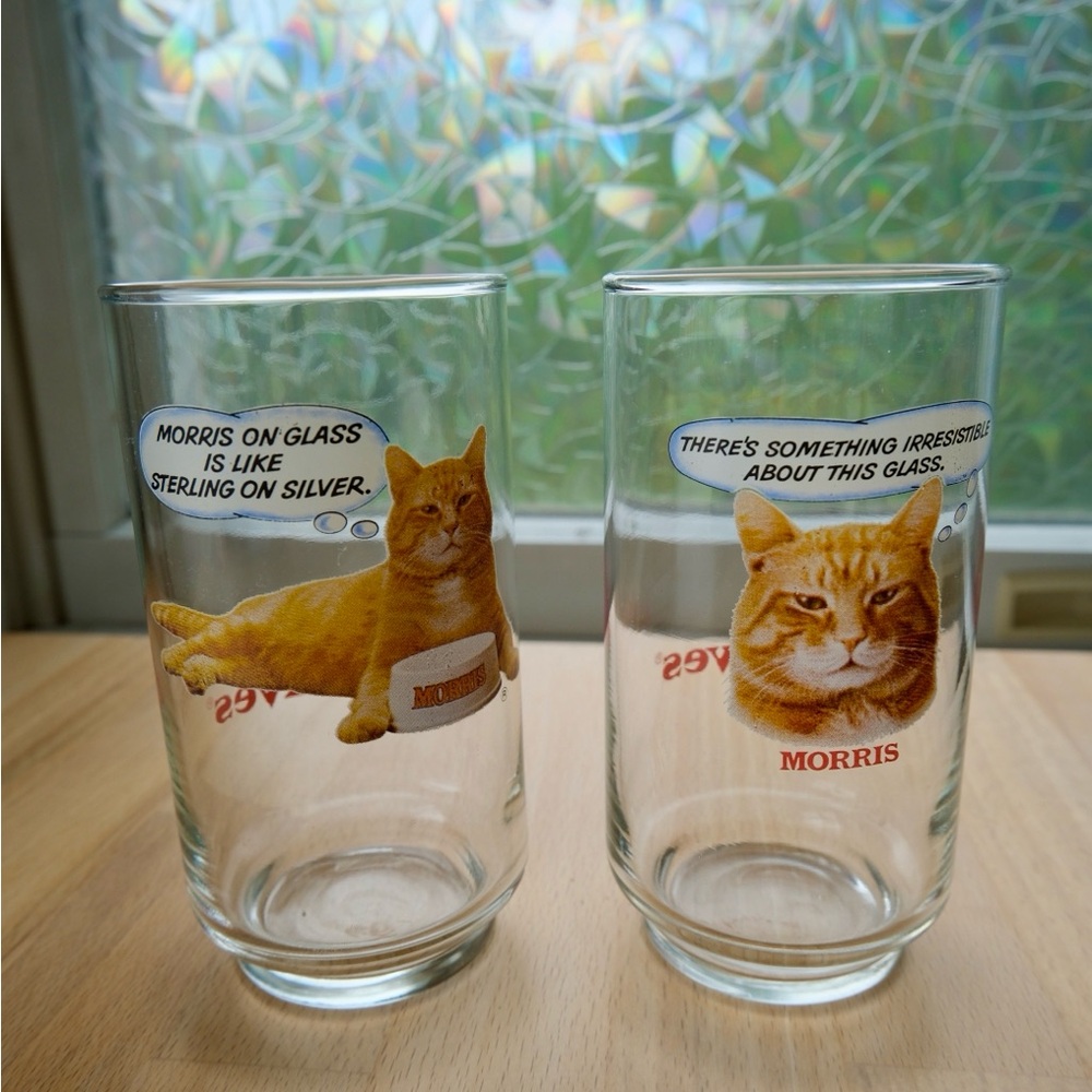 9 lives morris glasses